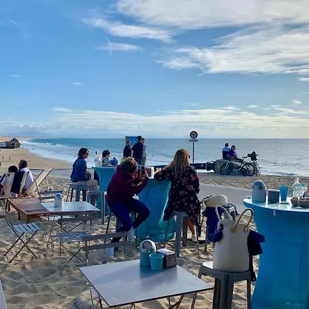 Modern 150m From The Atlantic Surf Capbreton