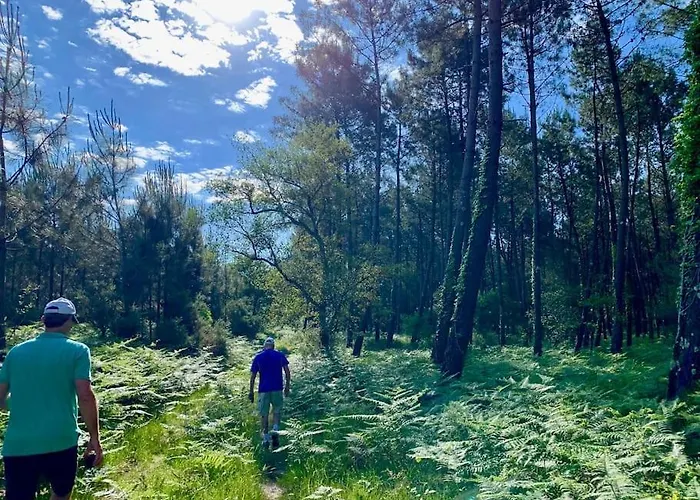 Modern 150m From The Atlantic Surf * Capbreton